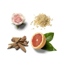 Homme Brioni Eau De Parfum|               Eau de Parfum Éclat