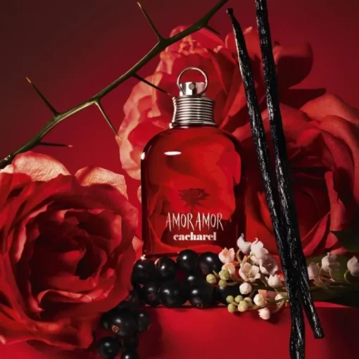 Femme Cacharel Coffrets Pour Elle|Coffret Parfum Femme|Amor Amor                Coffret Eau de Toilette et Laits Corps