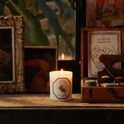 Carrière Frères Bougie Parfumée|Cèdre - Cedrus Atlantica                Bougie Parfumée