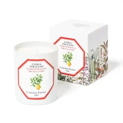 Carrière Frères Bougie Parfumée|Citron de Syracuse - Citrus Syracusis                Bougie Parfumée
