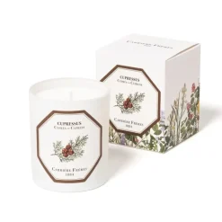 Carrière Frères Bougie Parfumée|Cyprès - Cupressus                Bougie Parfumée