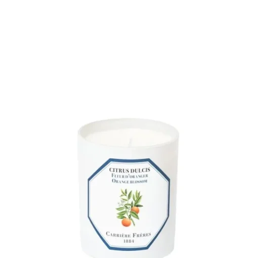 Carrière Frères Bougie Parfumée|Fleur d'Oranger - Citrus                Bougie Parfumée