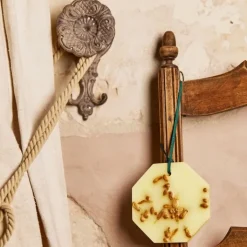 Carrière Frères Parfum D'Ambiance & Diffuseur D'Intérieur|Fleur d'Oranger - Citrus Dulcis                Palet Botanique