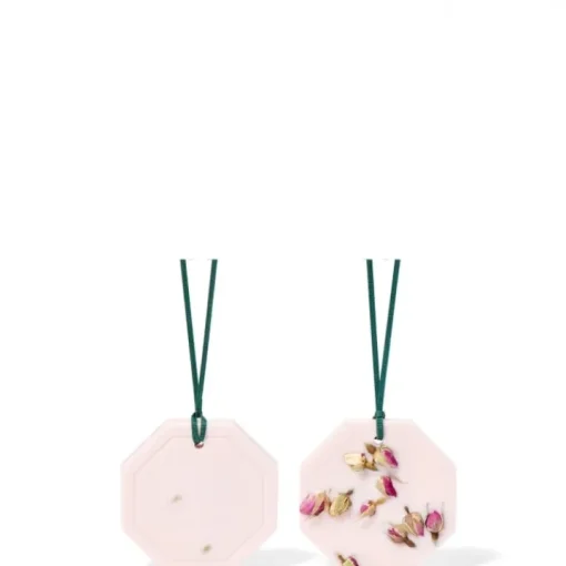 Carrière Frères Parfum D'Ambiance & Diffuseur D'Intérieur|La Rose Aime la Menthe                Palet Botanique