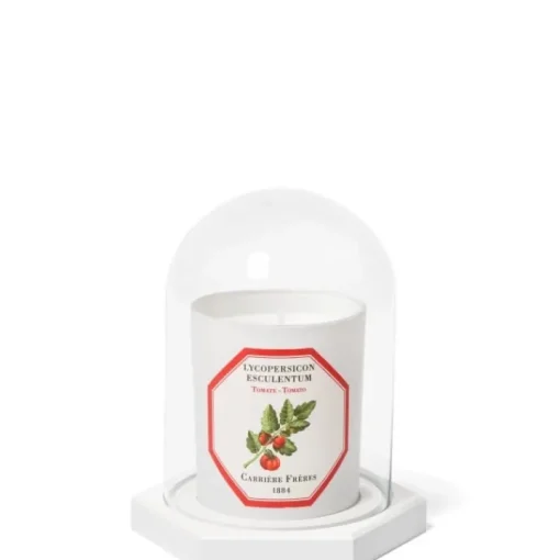 Carrière Frères Accessoires Maison|Le Dome - Socle & Cloche                Coffret Accessoires