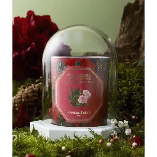 Carrière Frères Accessoires Maison|Le Dome - Socle & Cloche                Coffret Accessoires