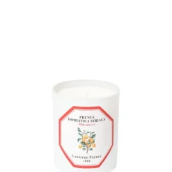 Carrière Frères Bougie Parfumée|Mirabelle - Prunus Domestica Syrica                Bougie Parfumée