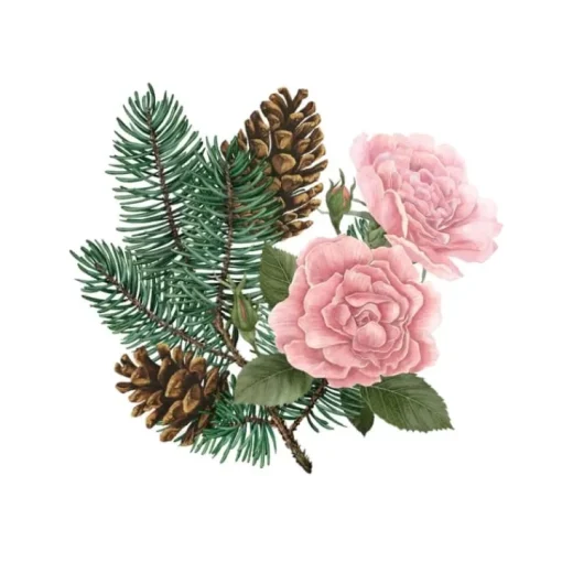 Carrière Frères Parfum D'Ambiance & Diffuseur D'Intérieur|Pin de Sibérie & Rose d'Hiver                Palet Botanique