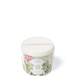 Carrière Frères Bougie Parfumée|Plumeria - Frangipanier                Recharge Bougie Parfumée
