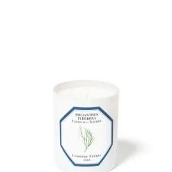 Carrière Frères Bougie Parfumée|Tubéreuse - Polientes Tuberosa                Bougie Parfumée