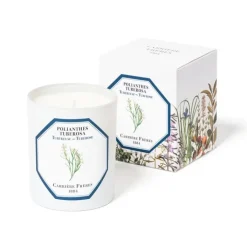 Carrière Frères Bougie Parfumée|Tubéreuse - Polientes Tuberosa                Bougie Parfumée