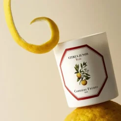 Carrière Frères Bougie Parfumée|Yuzu - Citrus Junos                Bougie Parfumée