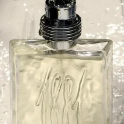 Homme Cerruti Eau De Toilette|1881 pour Homme                Eau de Toilette