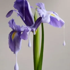 Christophe Robin Soin Conditioner & Masque|Démêlant Nuanceur de Couleur                A l'Iris Florentina