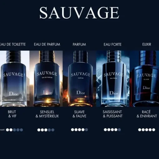Homme DIOR Parfum Recharge|Eau De Parfum|Sauvage                  Eau de Parfum - Flacon Recharge