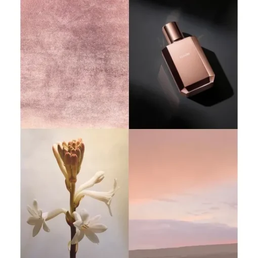 Elisire Parfum Mixte|Érose                Extrait de Parfum