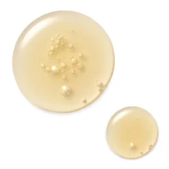 ESTEE LAUDER Soin Jour & Nuit|Sérum Et Booster|Advanced Night Repair                Sérum Complexe Multi-Réparation Synchronisée