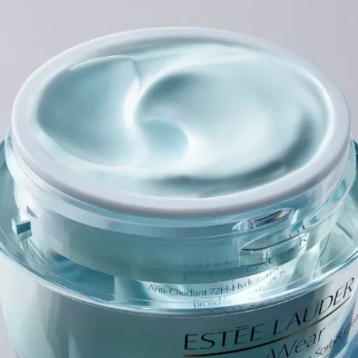 ESTEE LAUDER Soin De Jour|DayWear                Crème Hydratation 24h Multi-Protection Anti-Oxydant SPF15 Peaux Sèches