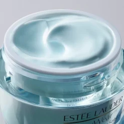 ESTEE LAUDER Soin De Jour|DayWear                Crème Hydratation 24h Multi-Protection Anti-Oxydant SPF 15 Pour Peaux Normales/Mixtes