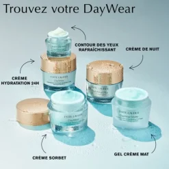 ESTEE LAUDER Soin De Jour|DayWear                Crème Hydratation 24h Multi-Protection Anti-Oxydant SPF 15 Pour Peaux Normales/Mixtes