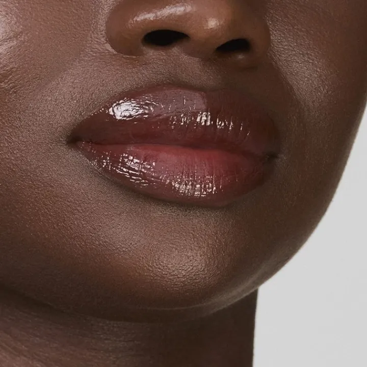 ESTEE LAUDER Gloss|Pure Color                Gloss Ultra-Brillant Click Stick