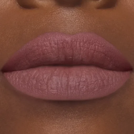 ESTEE LAUDER Rouge À Lèvres & Laque|Pure Color                Rouge à Lèvres Mat