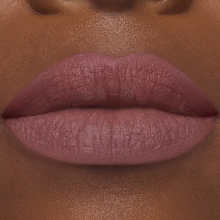 ESTEE LAUDER Rouge À Lèvres & Laque|Pure Color                Rouge à Lèvres Mat
