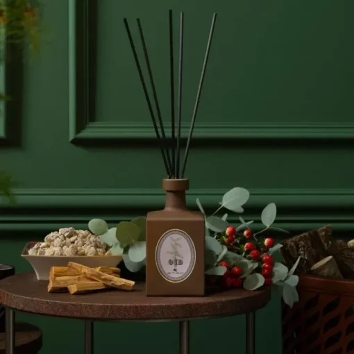Etro Coffret Maison|Parfum D'Ambiance & Diffuseur D'Intérieur|Oud                Coffret Diffuseur d'Ambiance