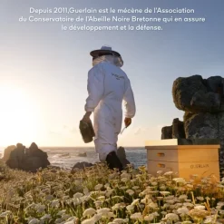 GUERLAIN Soin Yeux & Lèvres|Abeille Royale                 Crème Yeux Correction Multi-rides