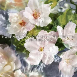 Femme GUERLAIN Parfum Naturel & Eco-Responsable|Eau De Toilette|Aqua Allegoria Flora Cherrysia                Eau de Toilette