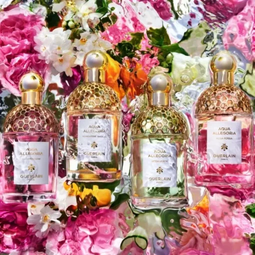 Femme GUERLAIN Parfum Naturel & Eco-Responsable|Eau De Toilette|Aqua Allegoria Flora Cherrysia                Eau de Toilette