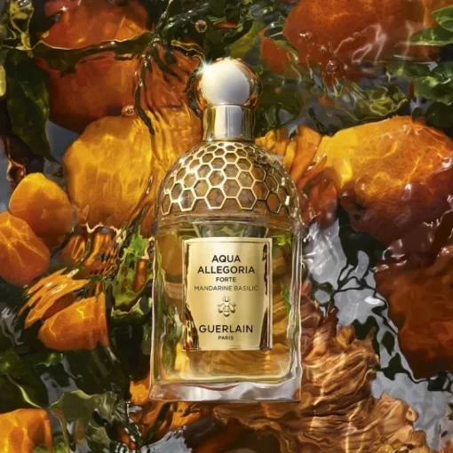 Femme GUERLAIN Eau De Parfum|Aqua Allegoria Forte Mandarine Basilic                Eau de Parfum