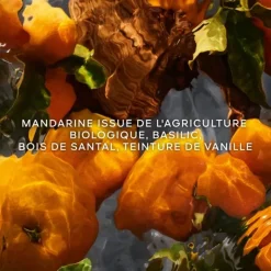 Femme GUERLAIN Eau De Parfum|Aqua Allegoria Forte Mandarine Basilic                Eau de Parfum