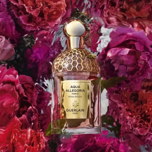 Femme GUERLAIN Eau De Parfum|Aqua Allegoria Forte Rosa Rossa                Eau de Parfum