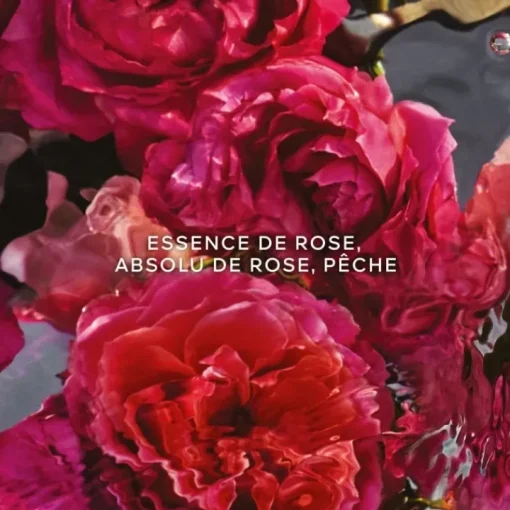 Femme GUERLAIN Eau De Parfum|Aqua Allegoria Forte Rosa Rossa                Eau de Parfum