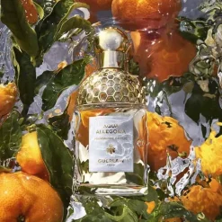 Femme GUERLAIN Parfum Naturel & Eco-Responsable|Eau De Toilette|Aqua Allegoria Mandarine Basilic                Eau de Toilette