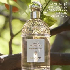 Femme GUERLAIN Parfum Naturel & Eco-Responsable|Eau De Toilette|Aqua Allegoria Mandarine Basilic                Eau de Toilette