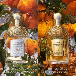 Femme GUERLAIN Parfum Naturel & Eco-Responsable|Eau De Toilette|Aqua Allegoria Mandarine Basilic                Eau de Toilette