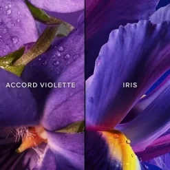 Femme GUERLAIN Eau De Parfum|Insolence                Eau de Parfum