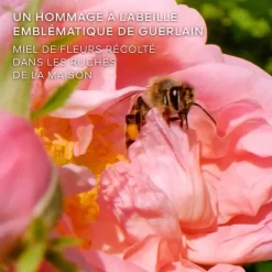 Femme GUERLAIN Eau De Parfum|La Petite Robe Noire Honey Rose                Eau de Parfum