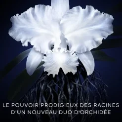 GUERLAIN Soin De Jour|Orchidée Impériale                La Crème Légère - La Recharge