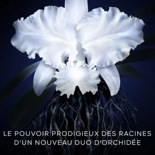 GUERLAIN Soin De Jour|Orchidée Impériale                La Crème Légère - La Recharge