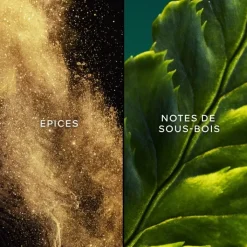 Femme GUERLAIN Eau De Toilette|Vol de Nuit                Eau de Toilette