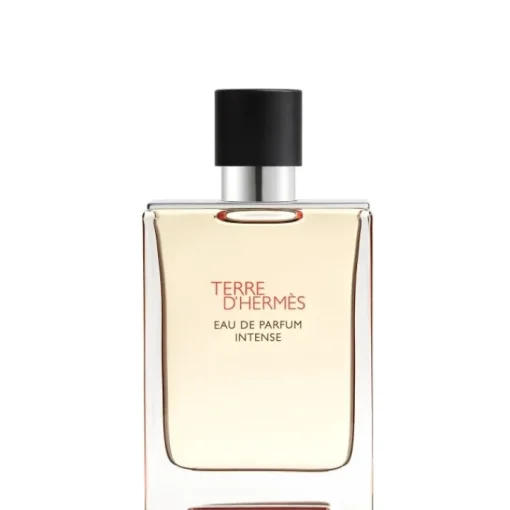Homme HERMÈS Eau De Parfum|Terre d'Hermès                Eau de Parfum Intense