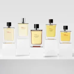 Homme HERMÈS Eau De Parfum|Terre d'Hermès                Eau de Parfum Intense
