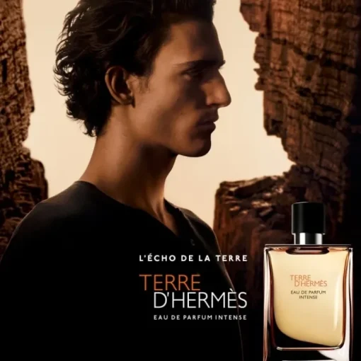 Homme HERMÈS Eau De Parfum|Terre d'Hermès                Eau de Parfum Intense