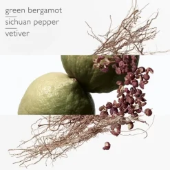 Homme HERMÈS Eau De Parfum|Terre d'Hermès                 Eau Intense Vétiver - Eau de Parfum