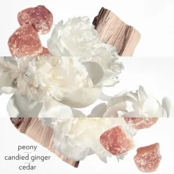 Femme HERMÈS Eau De Parfum|Twilly d'Hermès Eau Ginger                Eau de Parfum