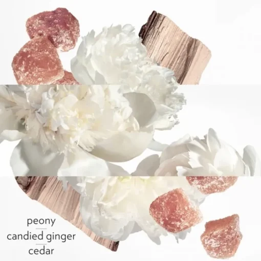 Femme HERMÈS Eau De Parfum|Twilly d'Hermès Eau Ginger                Eau de Parfum