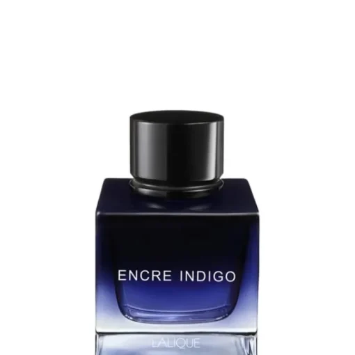 Homme Lalique Eau De Toilette|Encre Indigo                Eau de Parfum